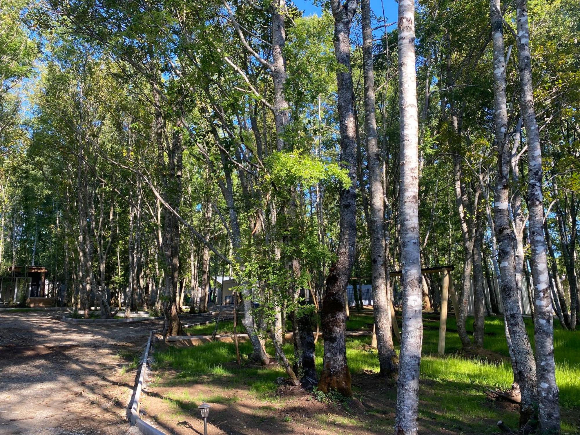 Boker Tov Pucon Ξενοδοχείο Εξωτερικό φωτογραφία