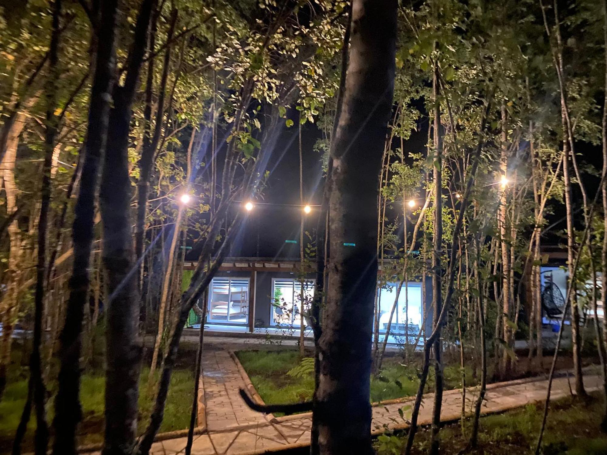 Boker Tov Pucon Ξενοδοχείο Εξωτερικό φωτογραφία