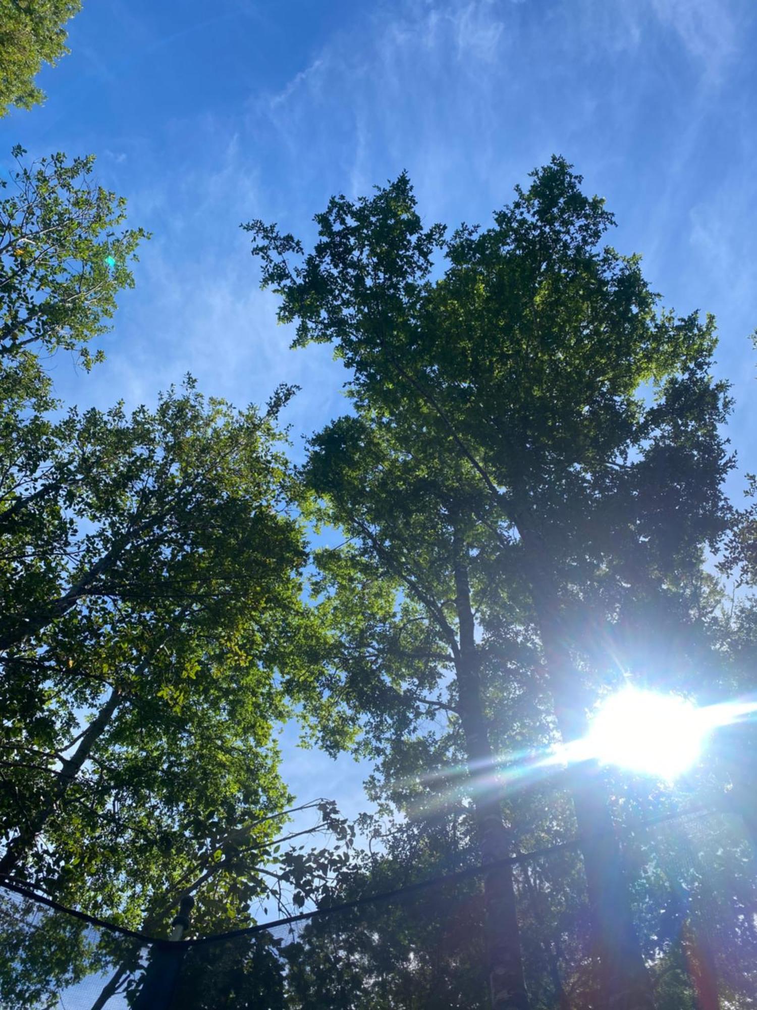 Boker Tov Pucon Ξενοδοχείο Εξωτερικό φωτογραφία